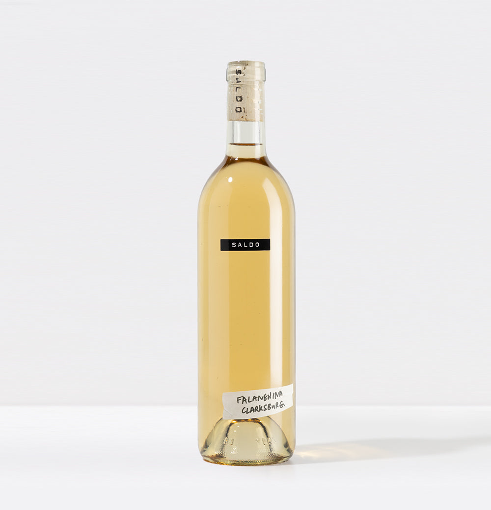 SALDO Falanghina orange skin contact wine bottle on white background