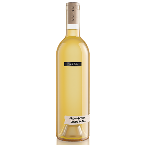 2022 SALDO FALANGHINA